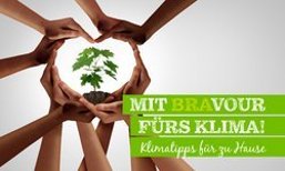 Klimafiebel Klimafiebel