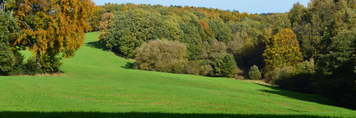 Aussicht Herbst Aussicht von der Glückauf-Trasse über Haßlinghausen