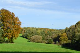Aussicht Herbst Aussicht von der Glückauf-Trasse über Haßlinghausen