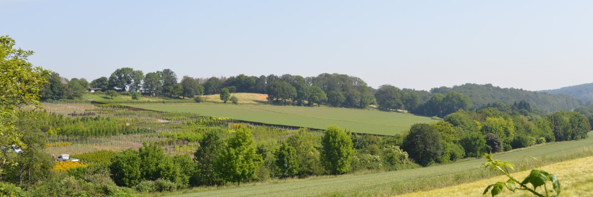 Niedersprockhövel Niedersprockhövel im Sommer