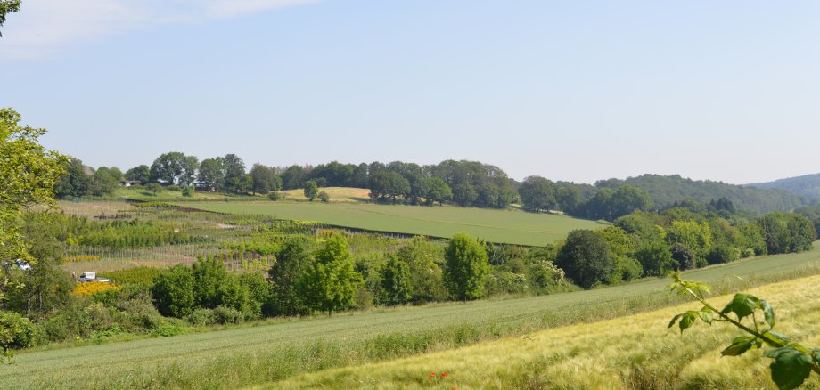 Niedersprockhövel im Sommer