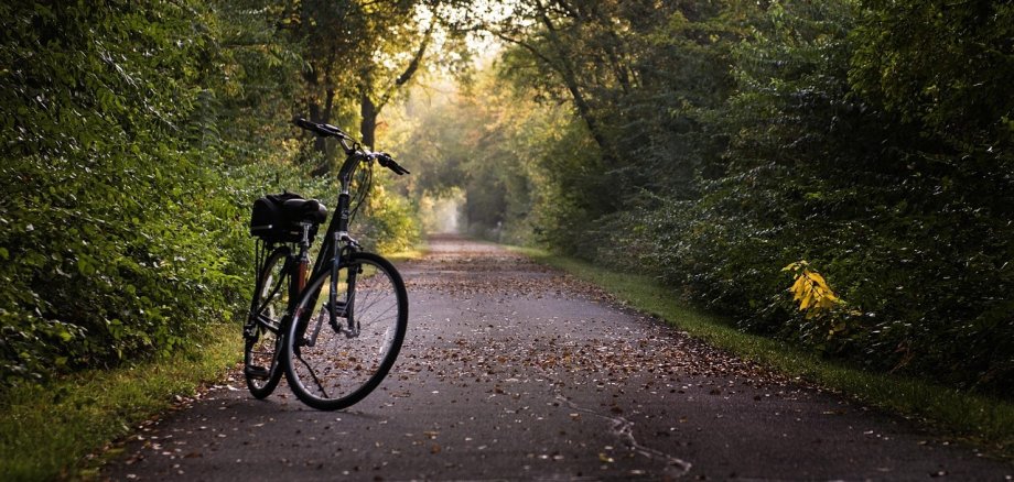 Fahrrad auf der Trasse umringt von Bäumen