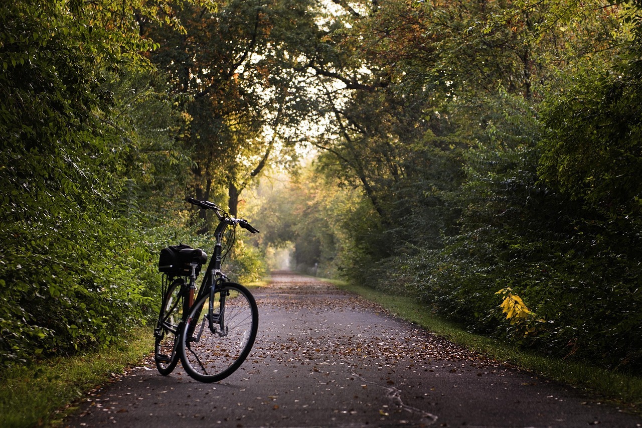 Fahrrad im Wald Fahrrad auf der Trasse umringt von Bäumen