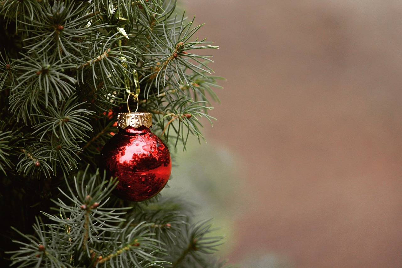 Weihnachtsbaum Weihnachtsbaum
